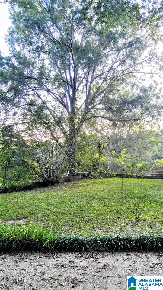 46276 Old Highway Vincent, AL 35178 - Photo 17 of 25