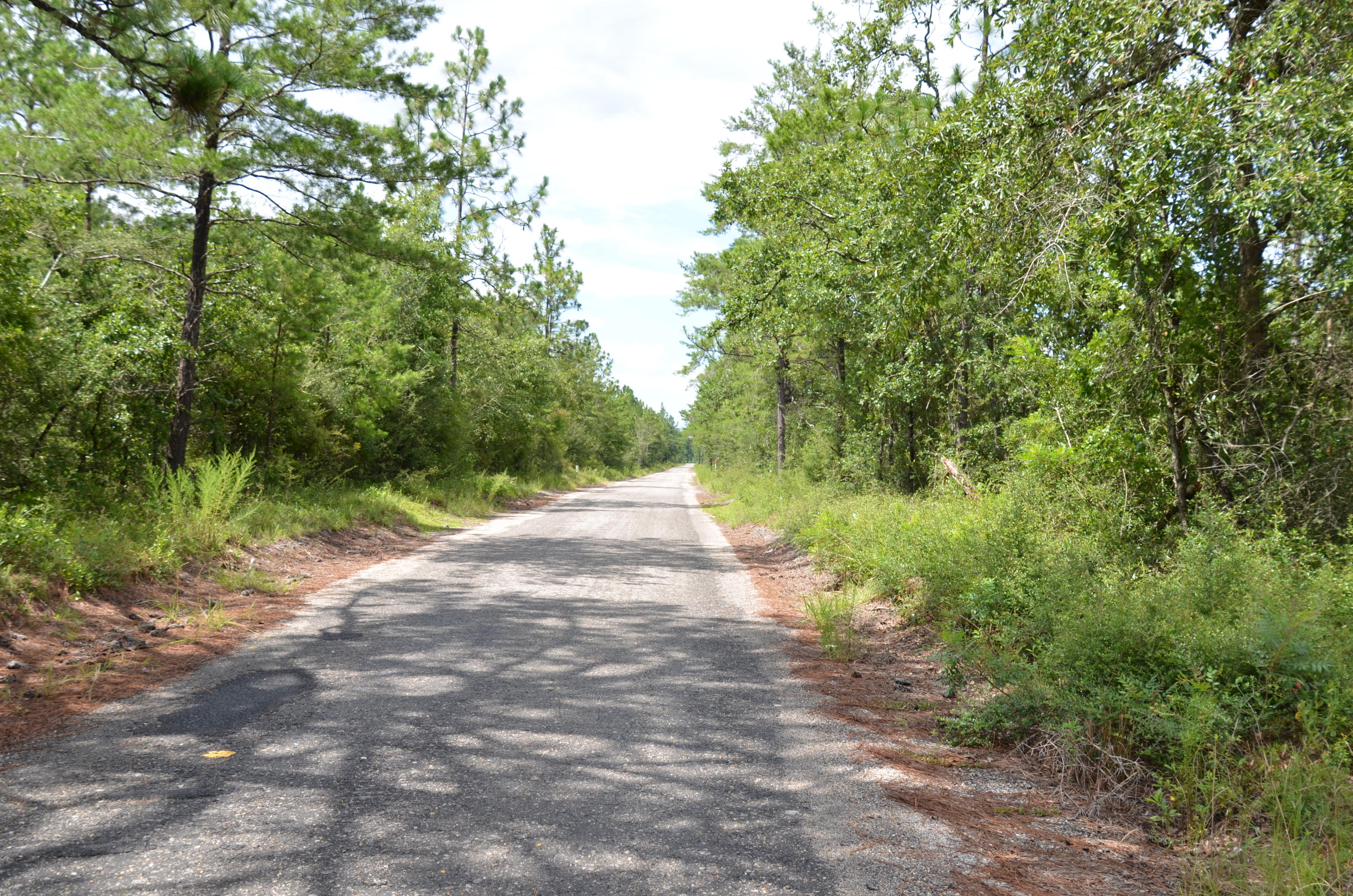 Tbd Watson Road DeFuniak Springs, FL 32433 - Photo 1 of 7 DSC_3405