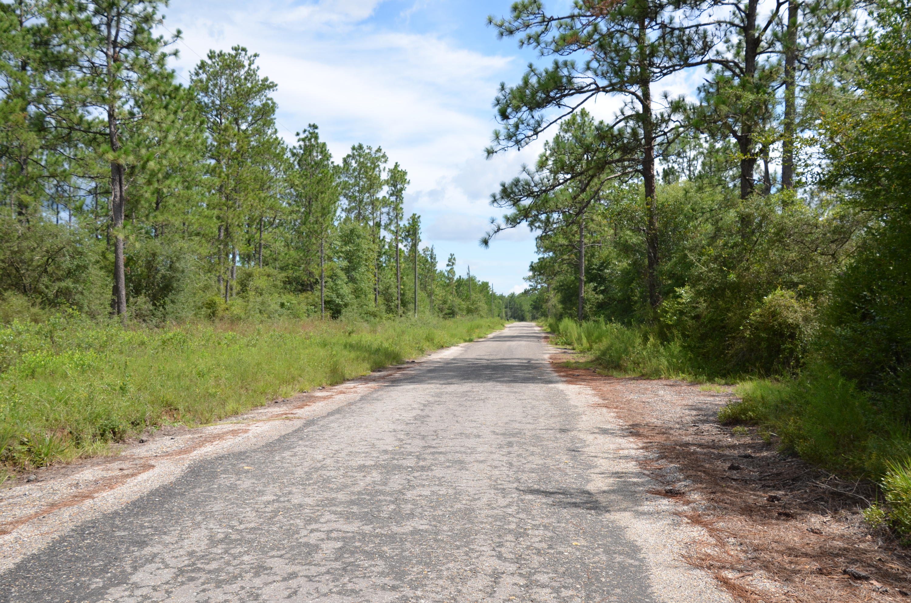 Tbd Watson Road DeFuniak Springs, FL 32433 - Photo 5 of 7 DSC_3408