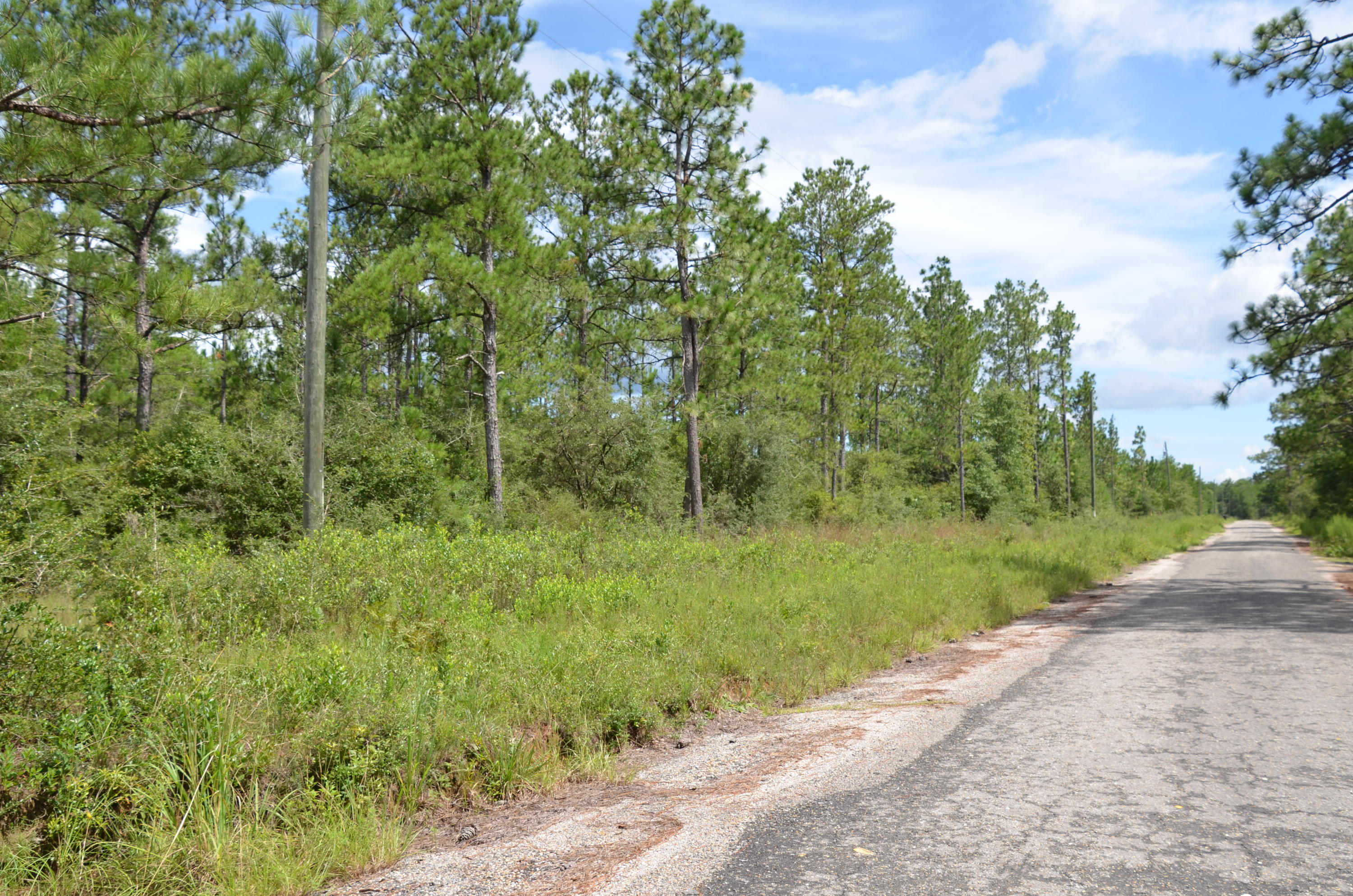 Tbd Watson Road DeFuniak Springs, FL 32433 - Photo 6 of 7 DSC_3409