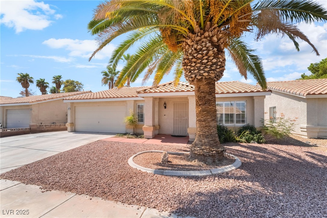 1427 Pathfinder Road Henderson, NV 89014 - Photo 4 of 36 Palm tree was trimmed after picture was taken