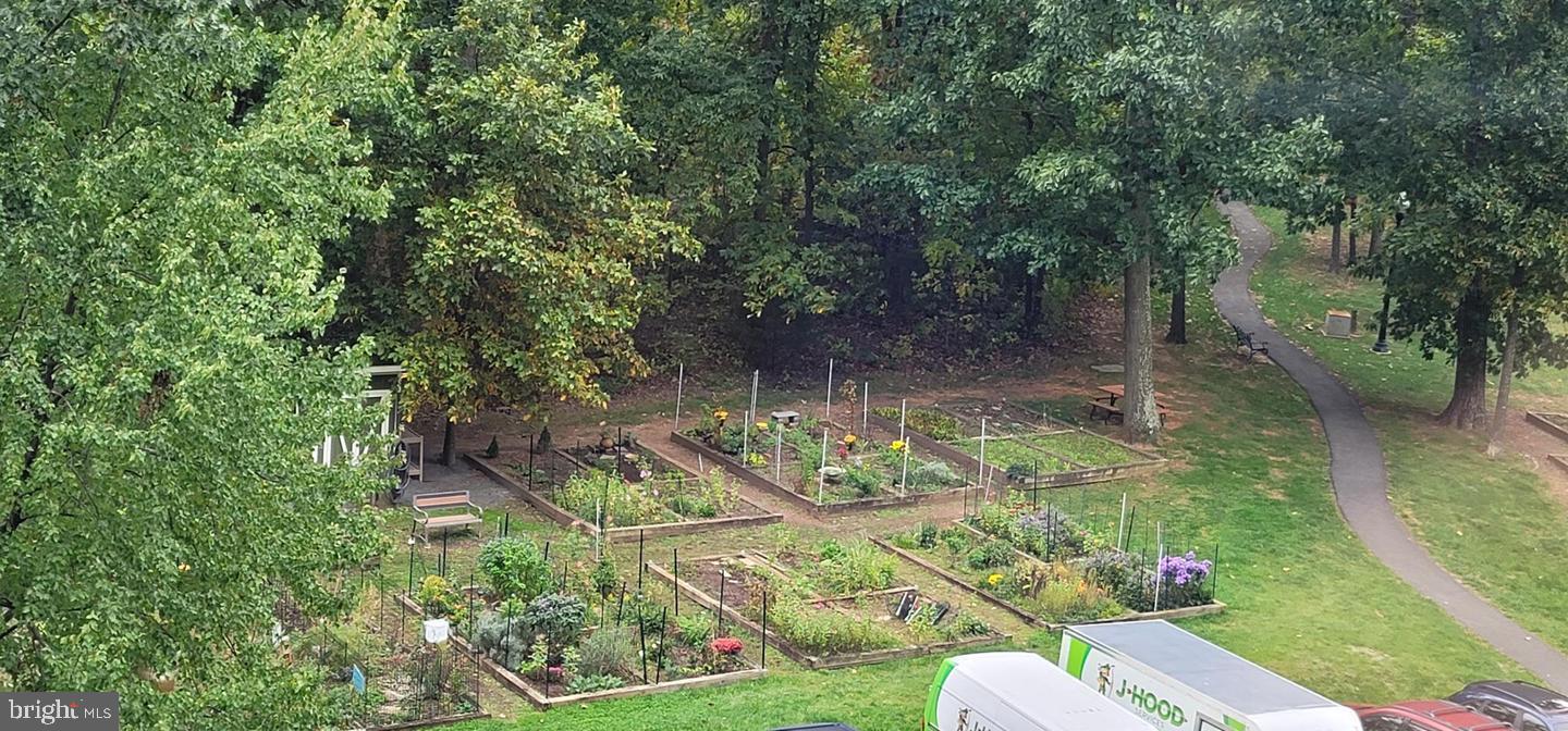 19355 Cypress Ridge Terrace, Unit 320 Leesburg, VA 20176 - Photo 55 of 56 Garden Plots