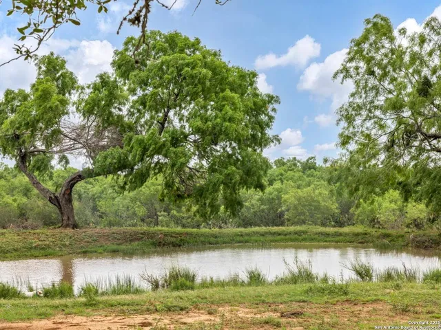 a view of a lake with a yard