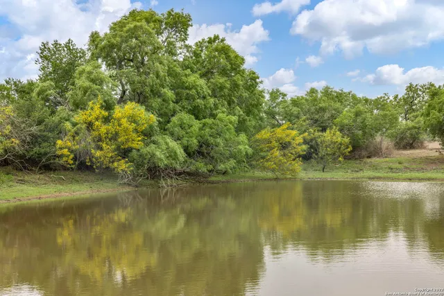 a view of a lake view with houses in the background