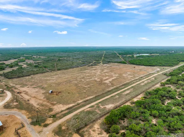 a view of a dry yard with trees