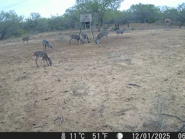 $3,975,000 | 4141 Cr 343, Charlotte, TX 78011