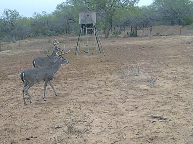 $3,975,000 | 4141 Cr 343, Charlotte, TX 78011