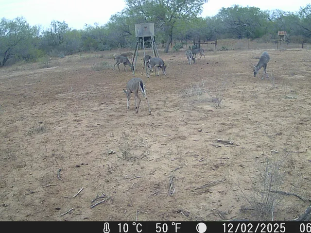 $3,975,000 | 4141 Cr 343, Charlotte, TX 78011