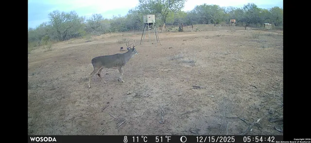 $3,975,000 | 4141 Cr 343, Charlotte, TX 78011