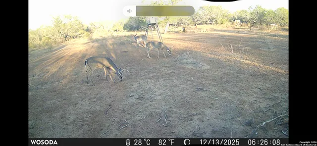 $3,975,000 | 4141 Cr 343, Charlotte, TX 78011