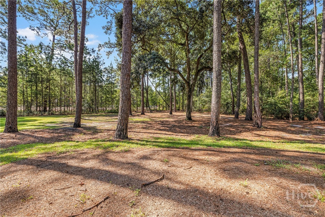 1075 Kolic Helmey Road Guyton, GA 31312 - Photo 15 of 37 Gallery Image 15