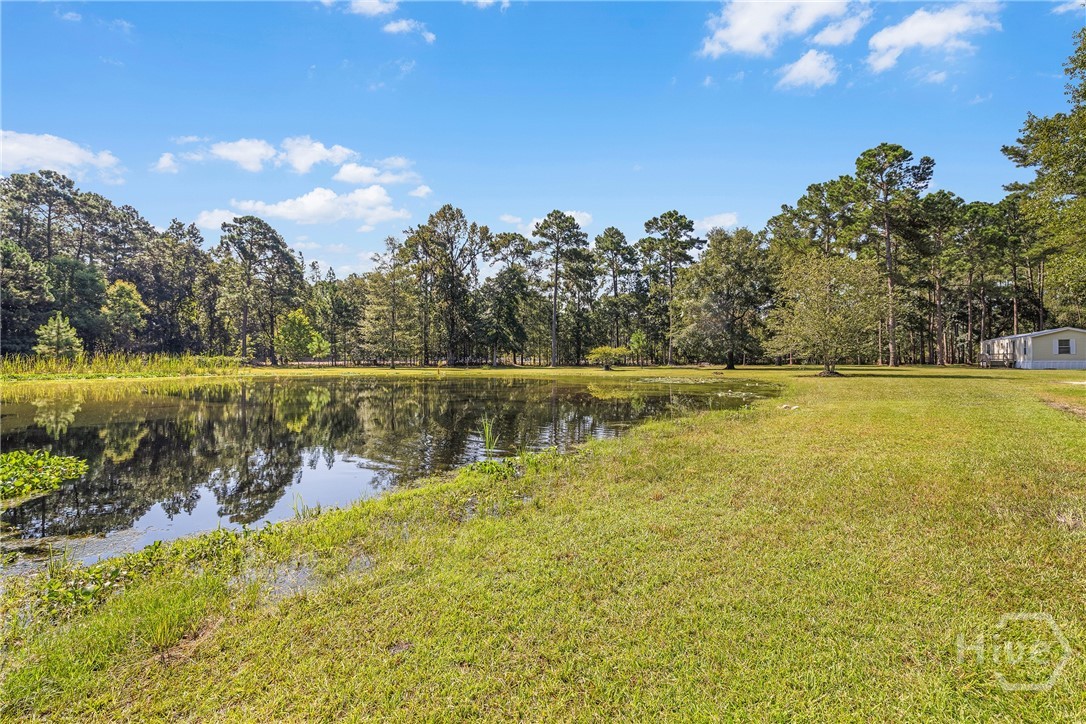 1075 Kolic Helmey Road Guyton, GA 31312 - Photo 10 of 37 Gallery Image 10