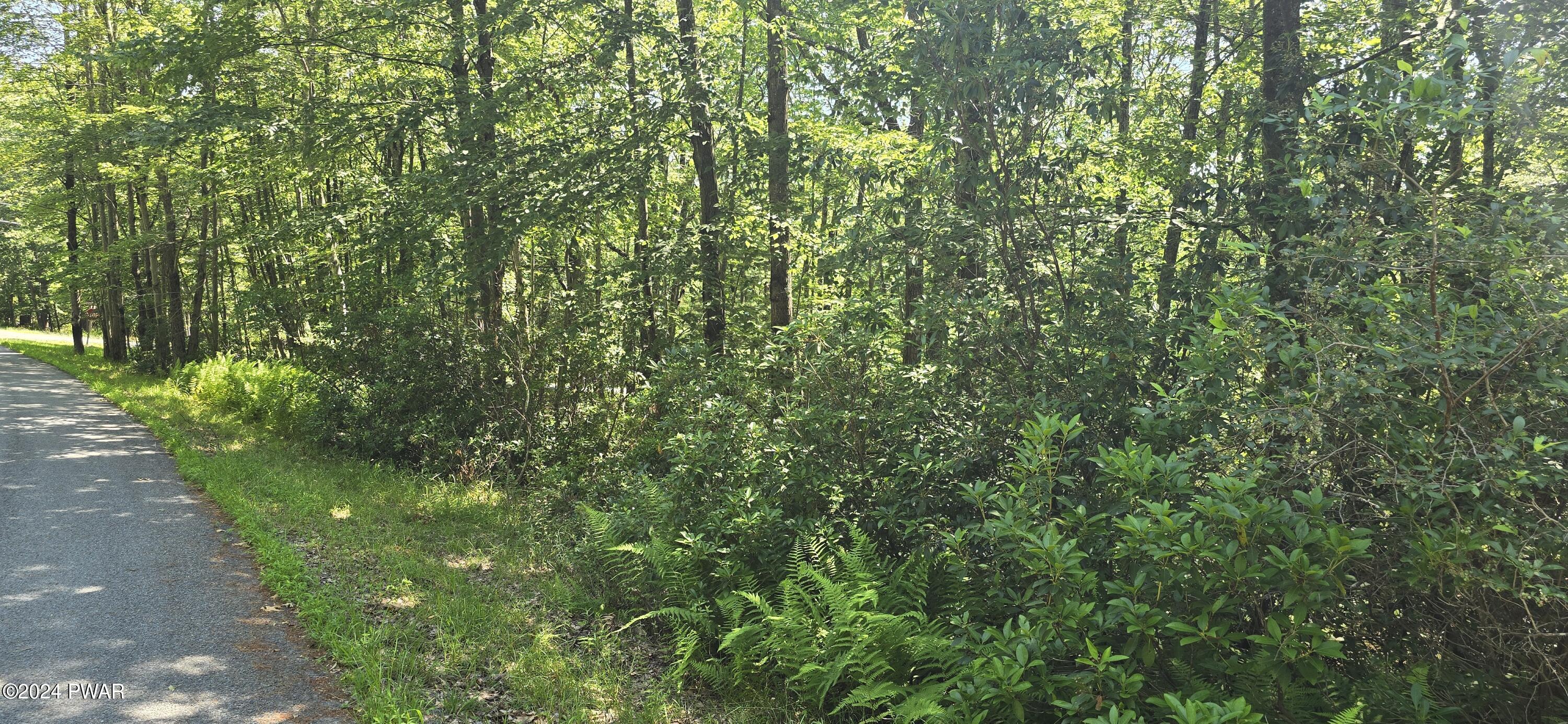Cayuga Trail Milford, PA 18337 - Photo 19 of 20