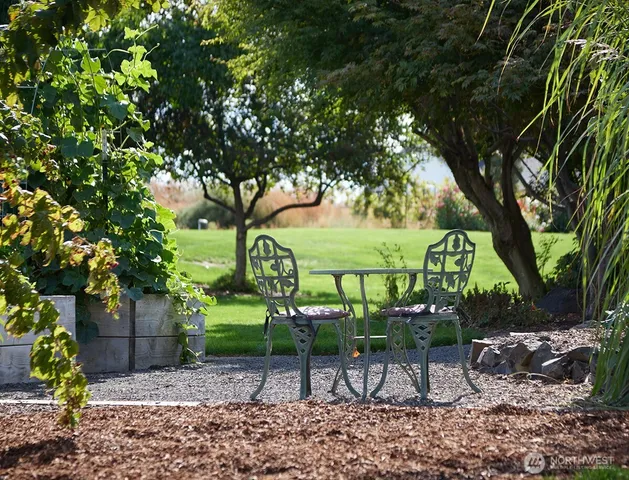 a view of a table and chairs in backyard