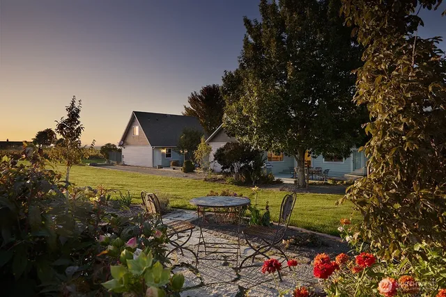 a view of a garden with plants