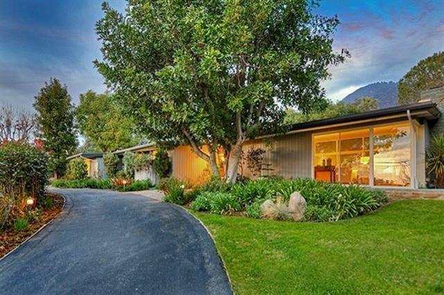 a view of a backyard with potted plants and large tree