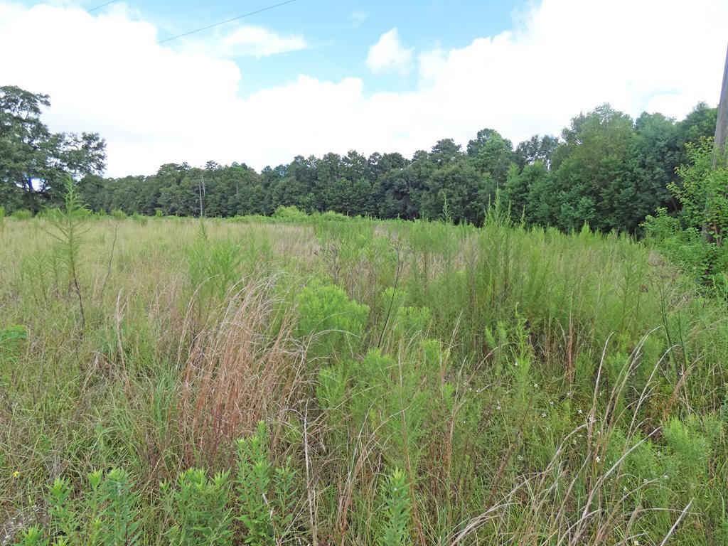 0 Woods Road Headland, AL 36345 - Photo 4 of 4
