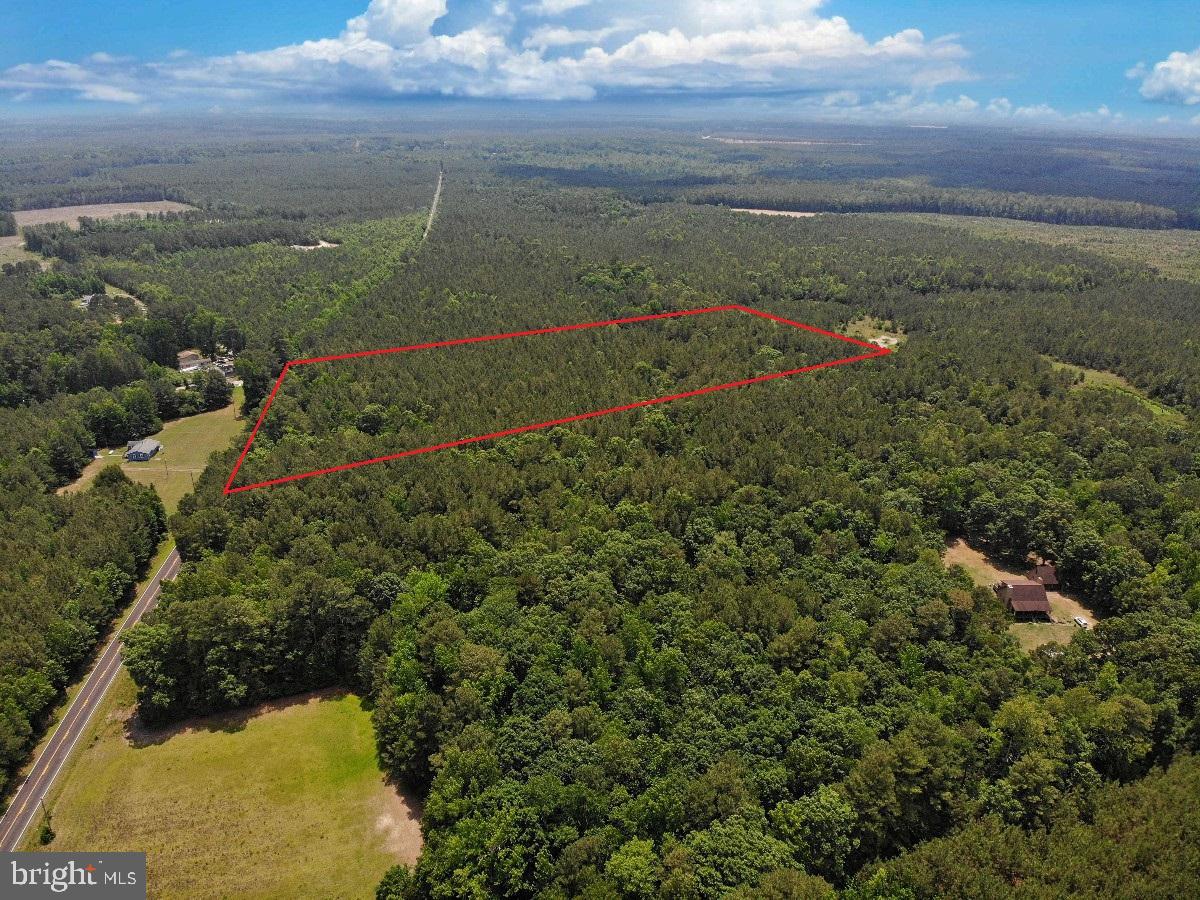 Salisbury Rd Spring Grove Spring Grove, VA 23881 - Photo 3 of 23