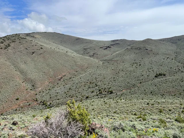 a view of a dry field with mountains in the background