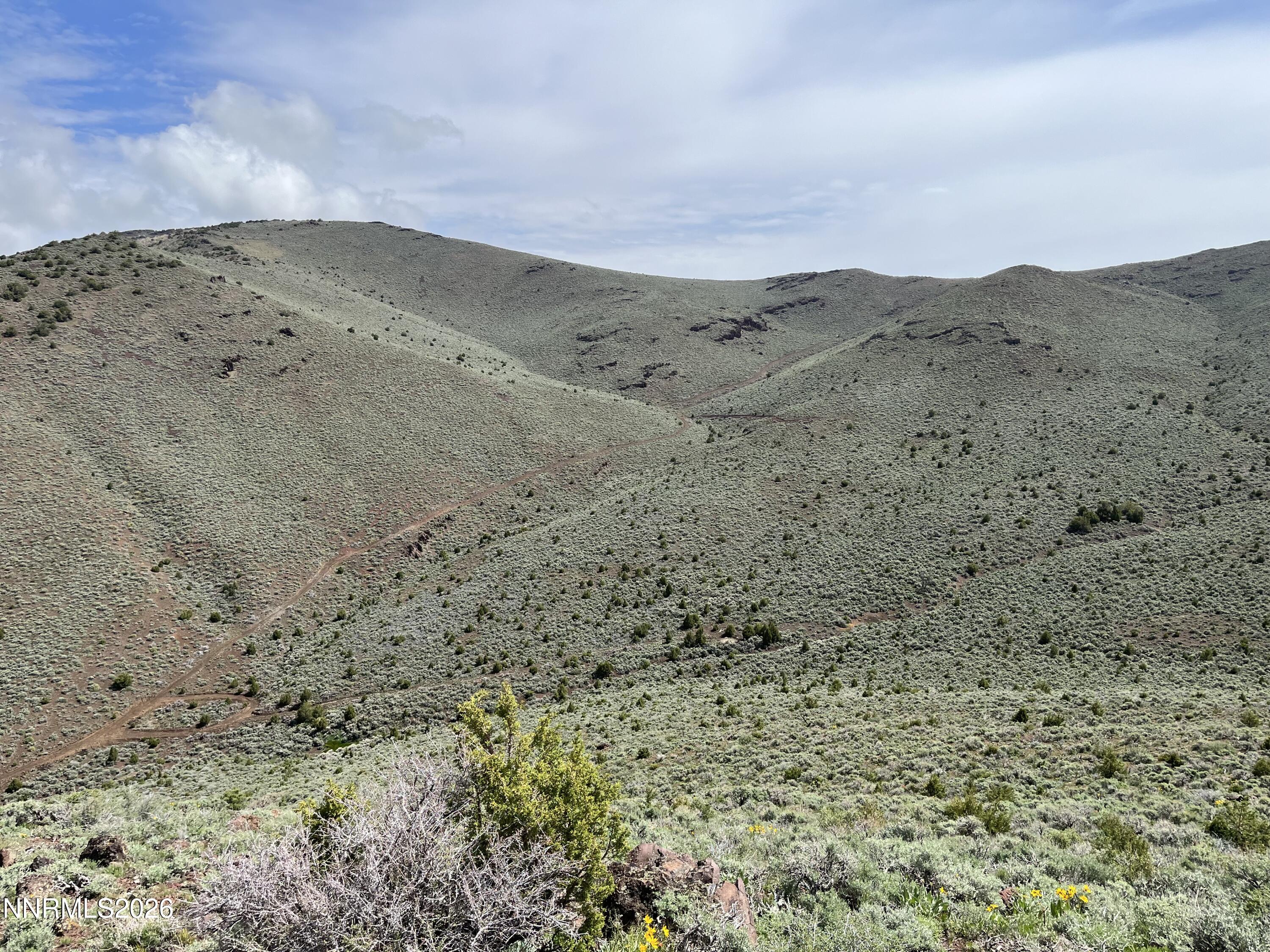 a view of a dry field with mountains in the background