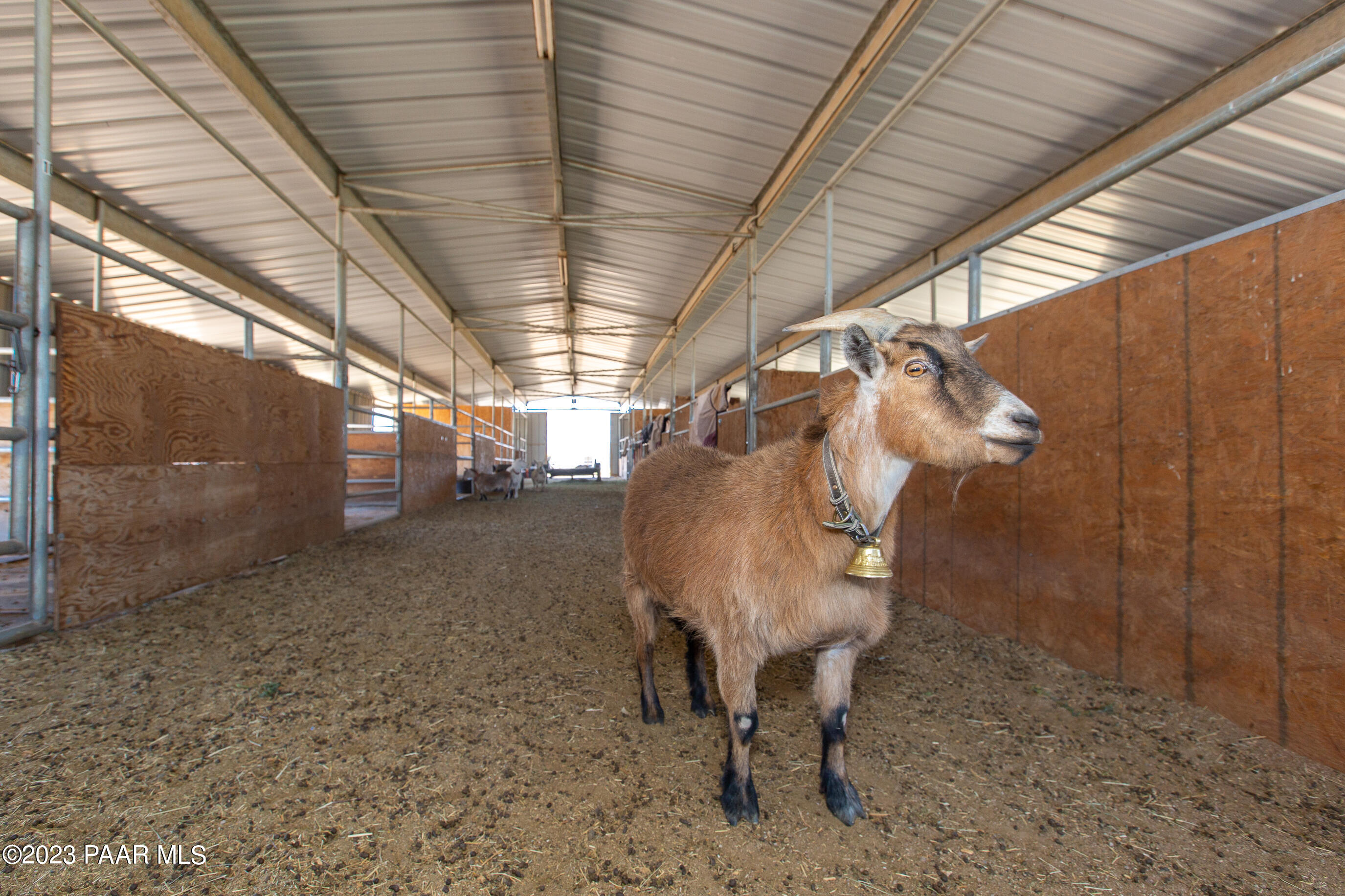 8855 East Turtle Rock Road Prescott Valley, AZ 86315 - Photo 60 of 62 barn guard