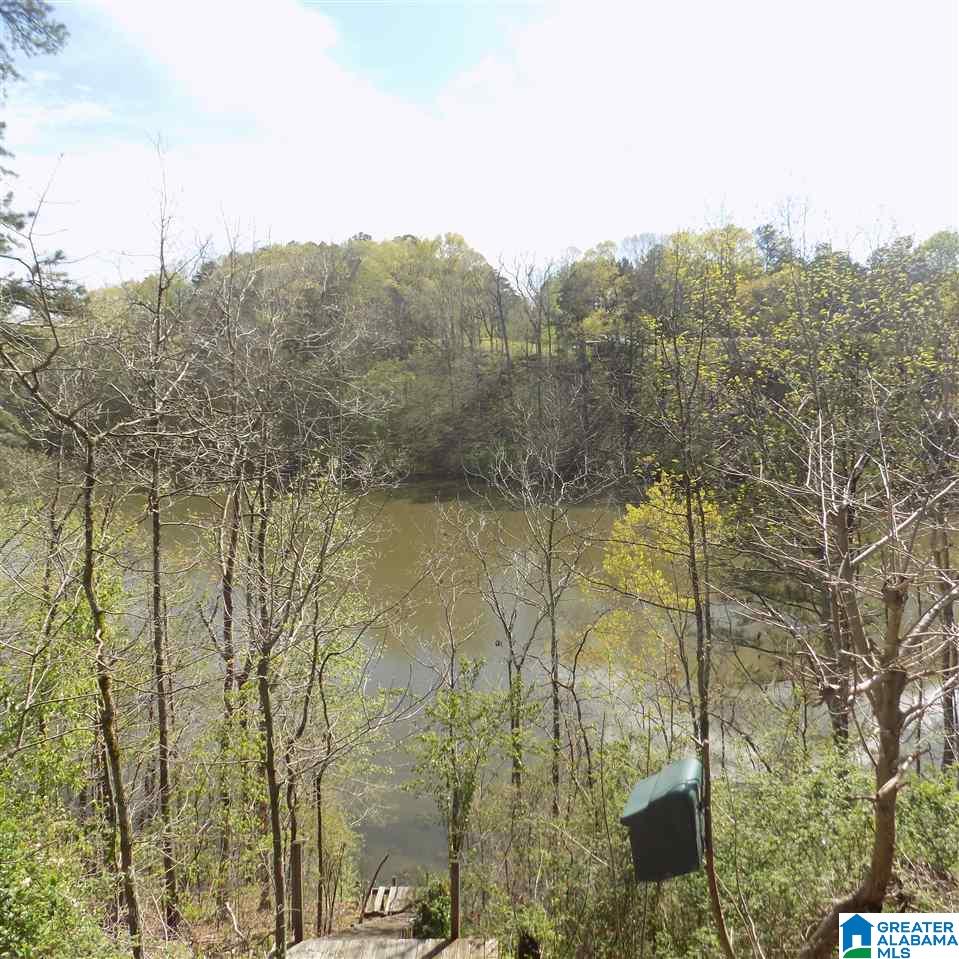 180 Holliday Drive Oneonta, AL 35121 - Photo 3 of 19