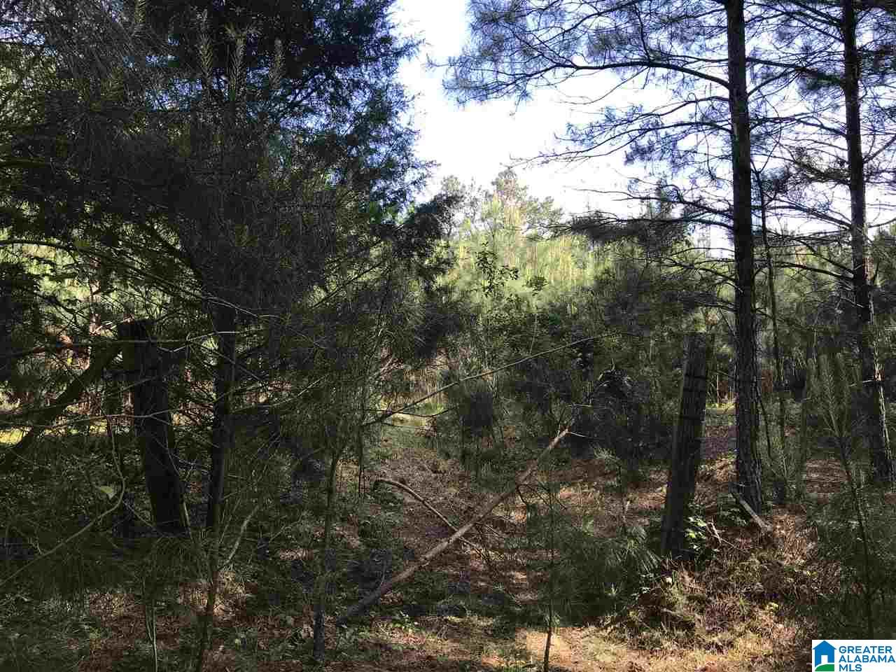 0 Steele Gap Road North, Unit 11 4 Steele, AL 35987 - Photo 7 of 26