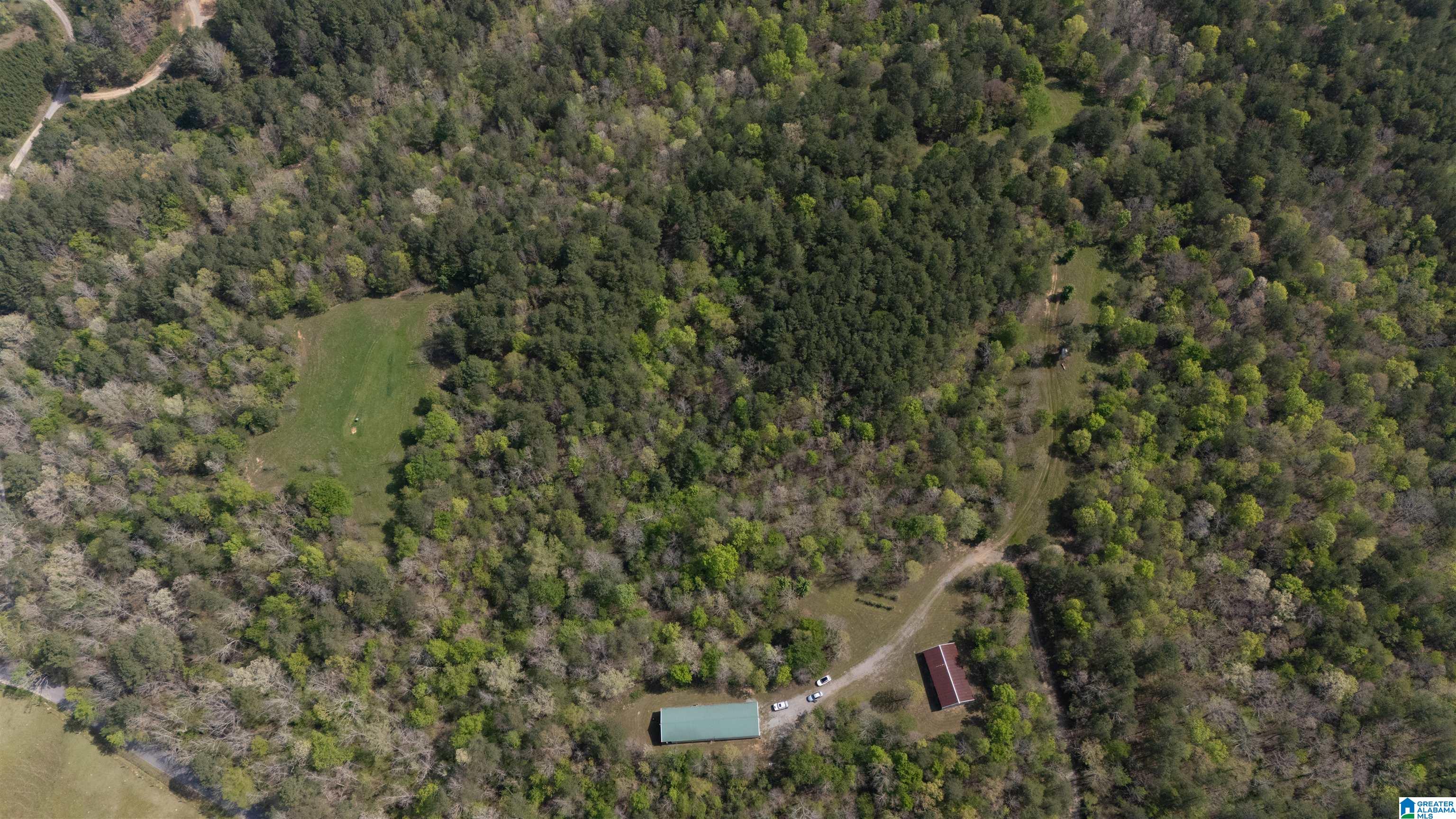 2121 Center Hill Road Trafford, AL 35172 - Photo 55 of 100