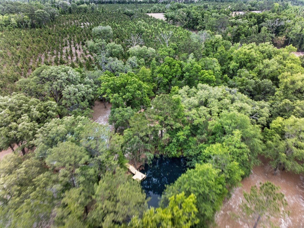 5781 Adams Road Valdosta, GA 31601 - Photo 23 of 35 Gallery Image 23