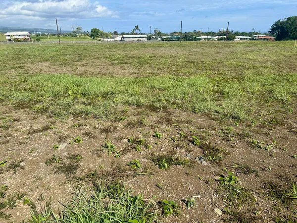 a view of an outdoor space and a yard