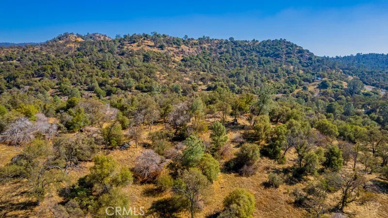 0 Farmstead Road Coarsegold, CA 93614 - Photo 1 of 1 Gallery Image 1