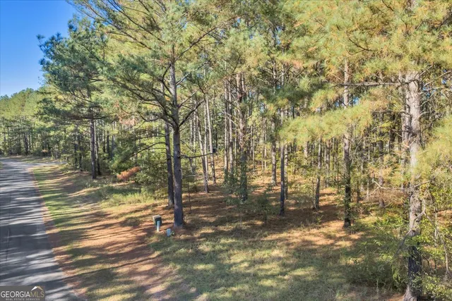 $40,000 | Lot 41 Sweet Magnolia Circle, Dublin, GA 31021