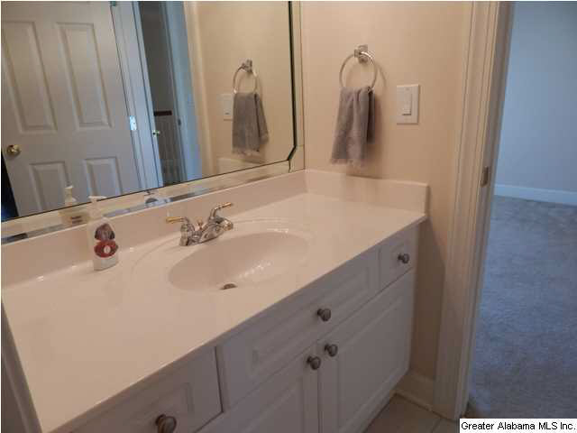 123 Grande Vista Way Chelsea, AL 35043 - Photo 16 of 26