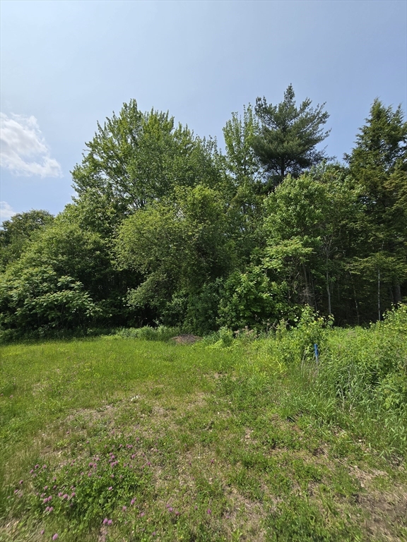 0 Miles Road Athol, MA 01331 - Photo 6 of 7 a view of a grassy field with trees in the background