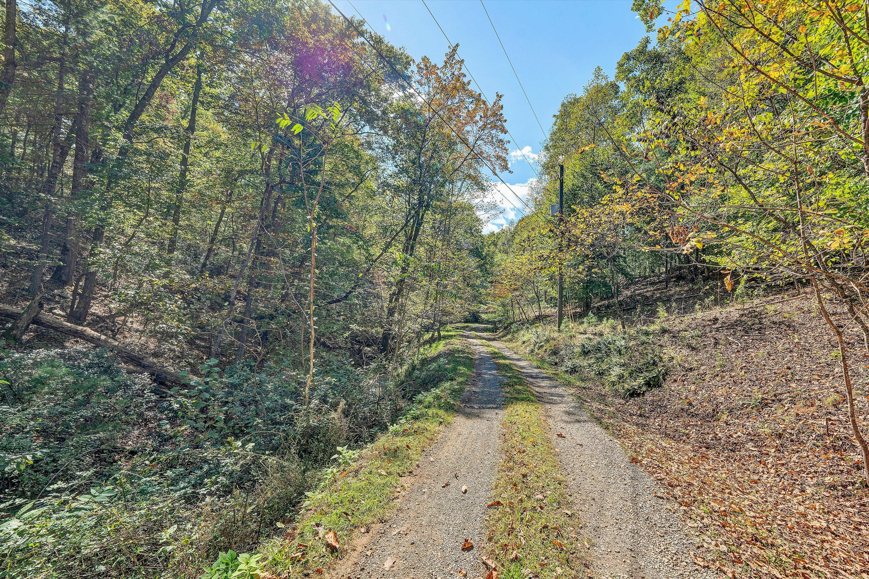 3561 Rutrough Road Southeast Roanoke, VA 24014 - Photo 54 of 63 a view of a dry yard with trees