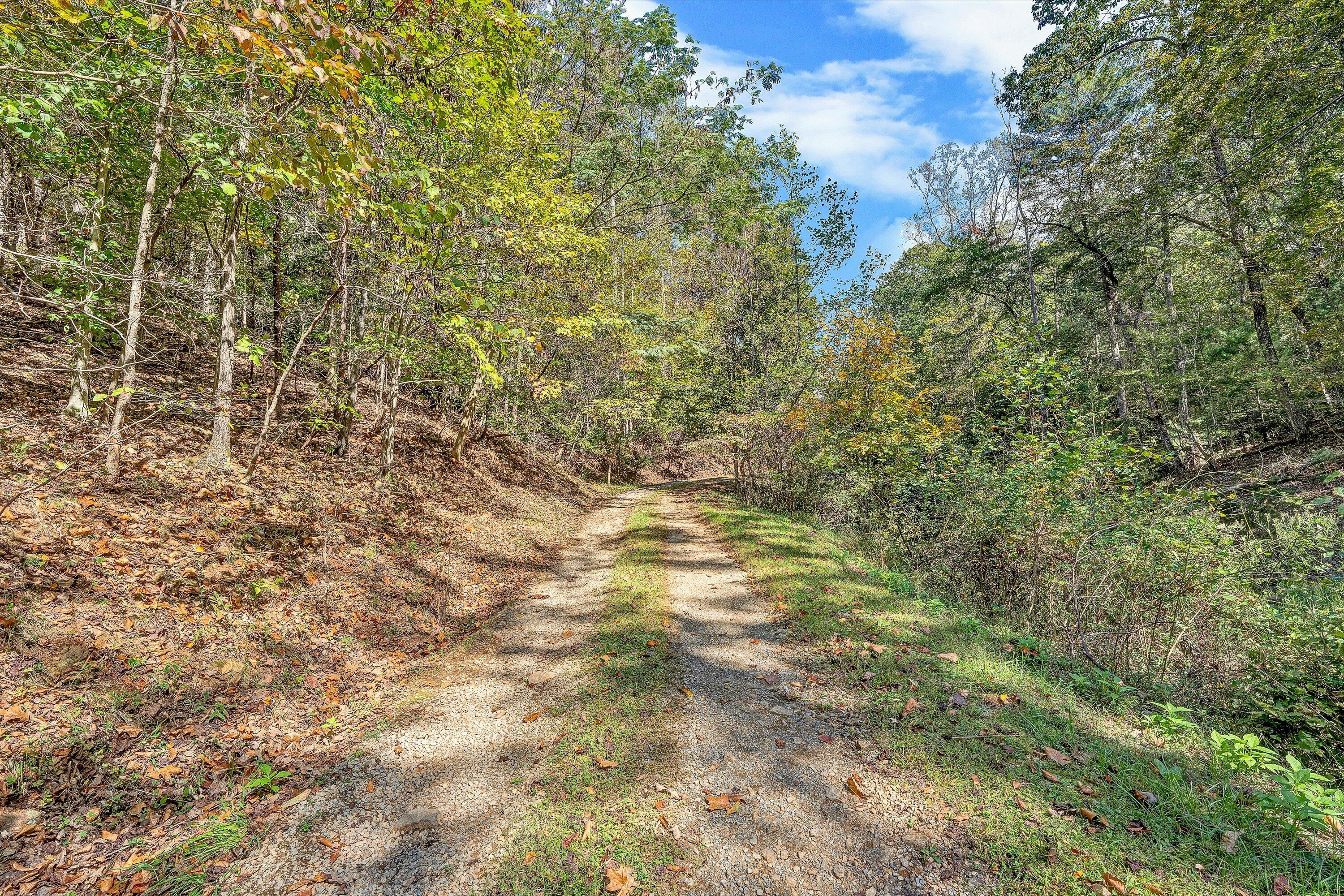 3561 Rutrough Road Southeast Roanoke, VA 24014 - Photo 55 of 63 a view of a yard with a tree