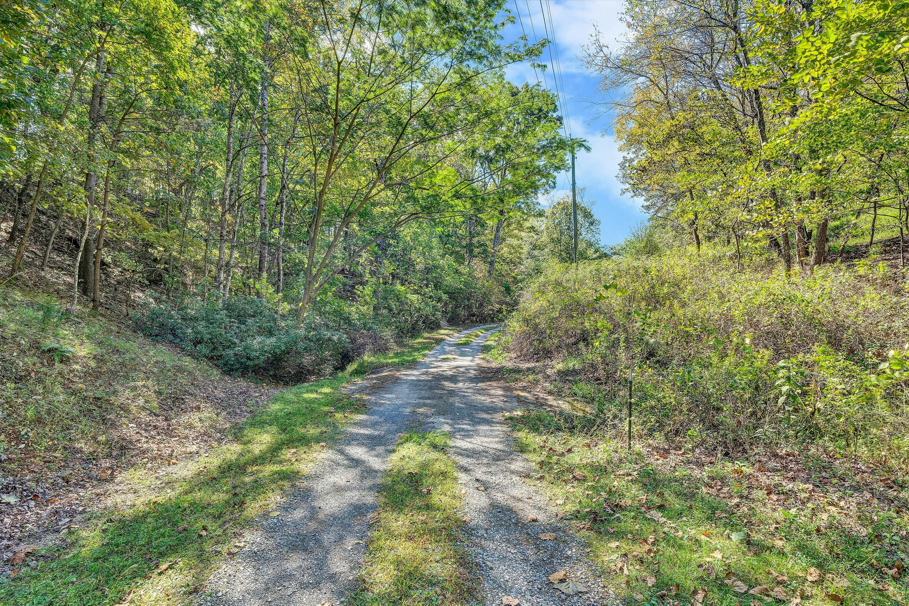 3561 Rutrough Road Southeast Roanoke, VA 24014 - Photo 56 of 63 a backyard of a house with lots of green space