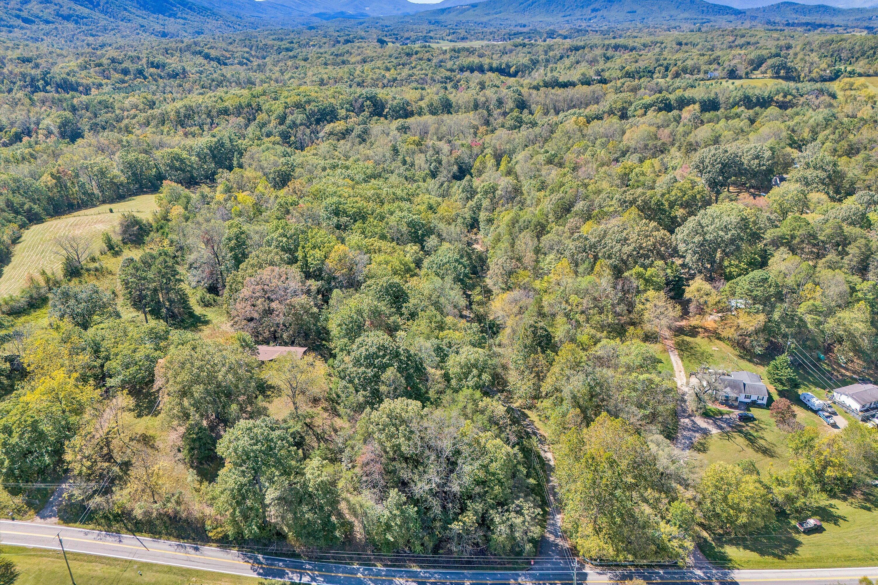3561 Rutrough Road Southeast Roanoke, VA 24014 - Photo 58 of 63 a view of a lot of trees and bushes