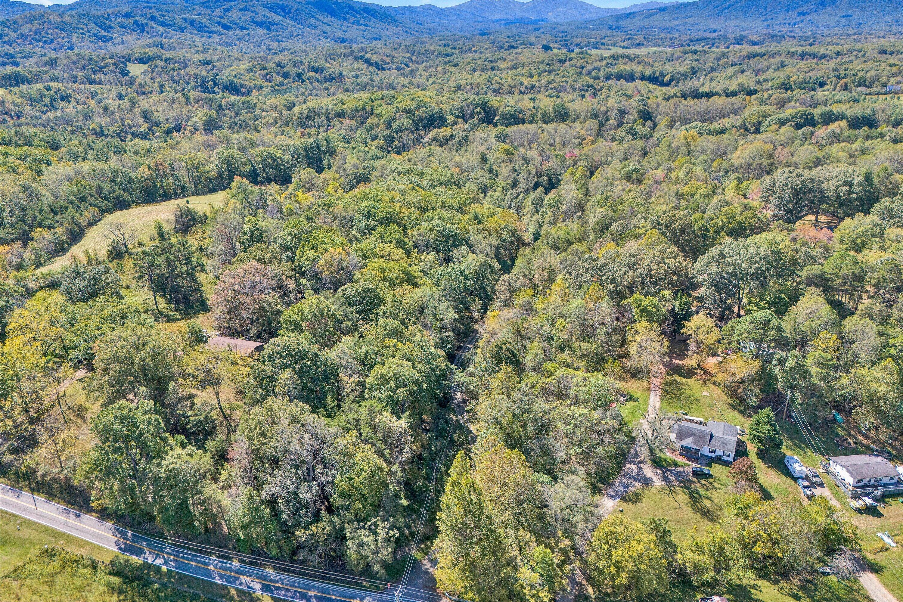 3561 Rutrough Road Southeast Roanoke, VA 24014 - Photo 59 of 63 a view of a forest with a street
