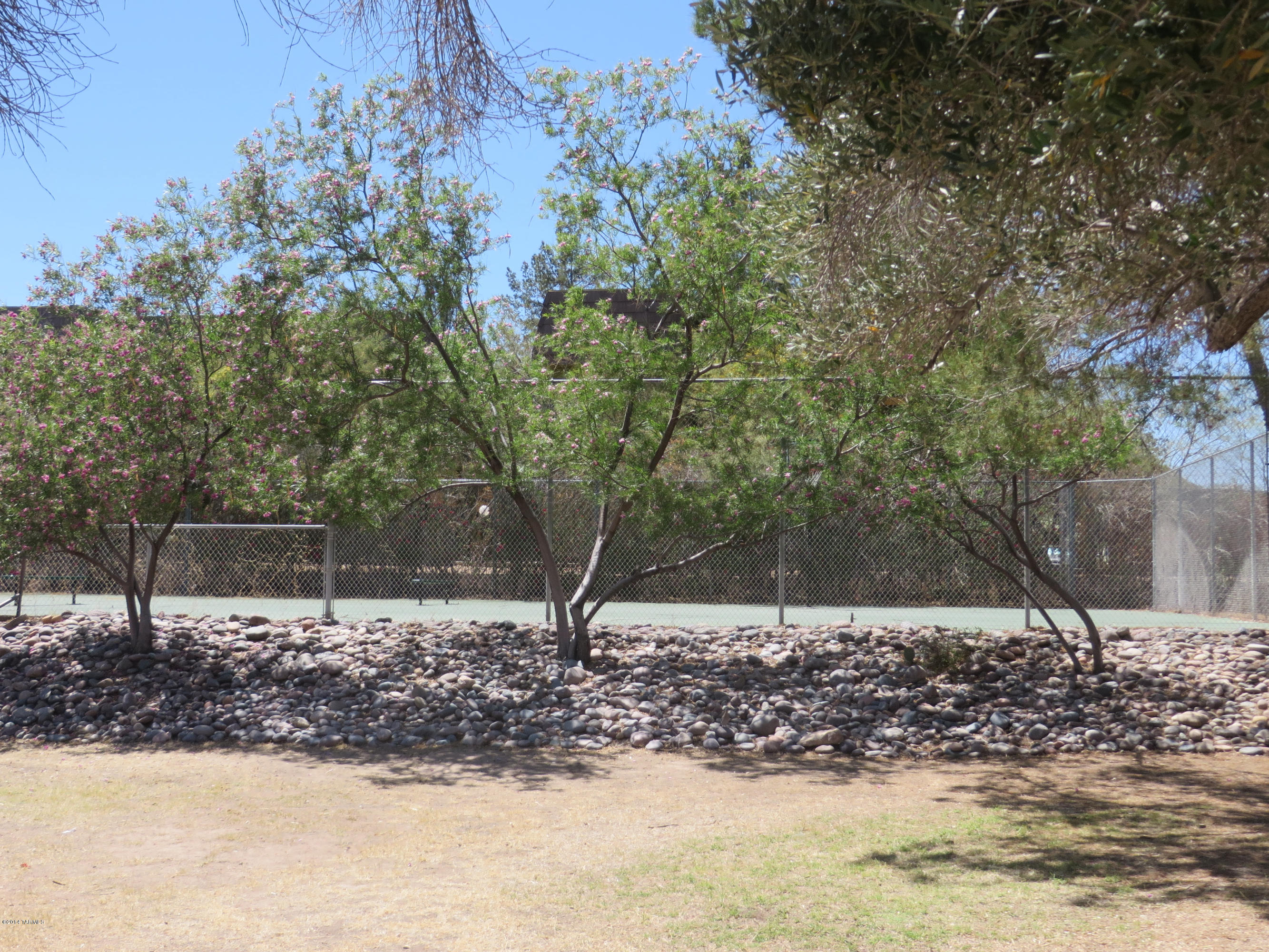 2785 West Anklam Road, Unit F Tucson, AZ 85745 - Photo 23 of 37