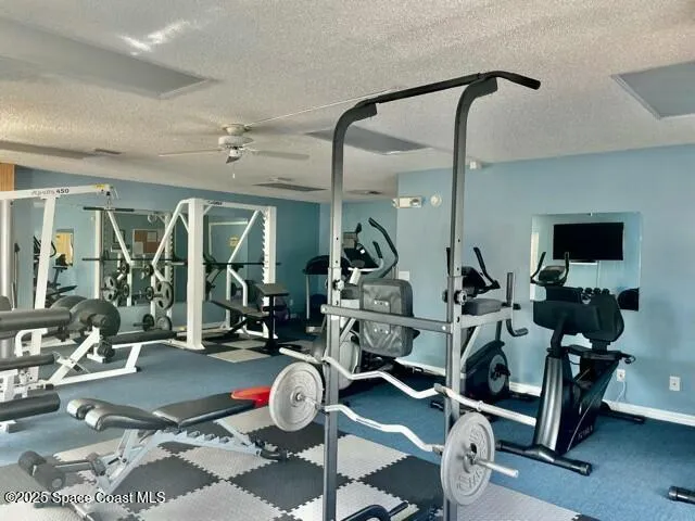 a view of a park with plants