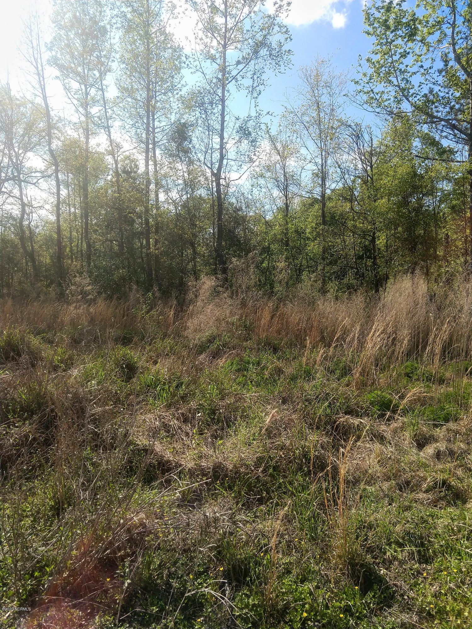 Lot #5 Possum Ridge Road Rocky Point, NC 28457 - Photo 2 of 7 Frontage 1