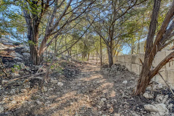a view of backyard with tree