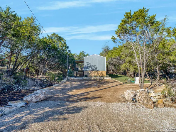 a view of a yard with plants and trees