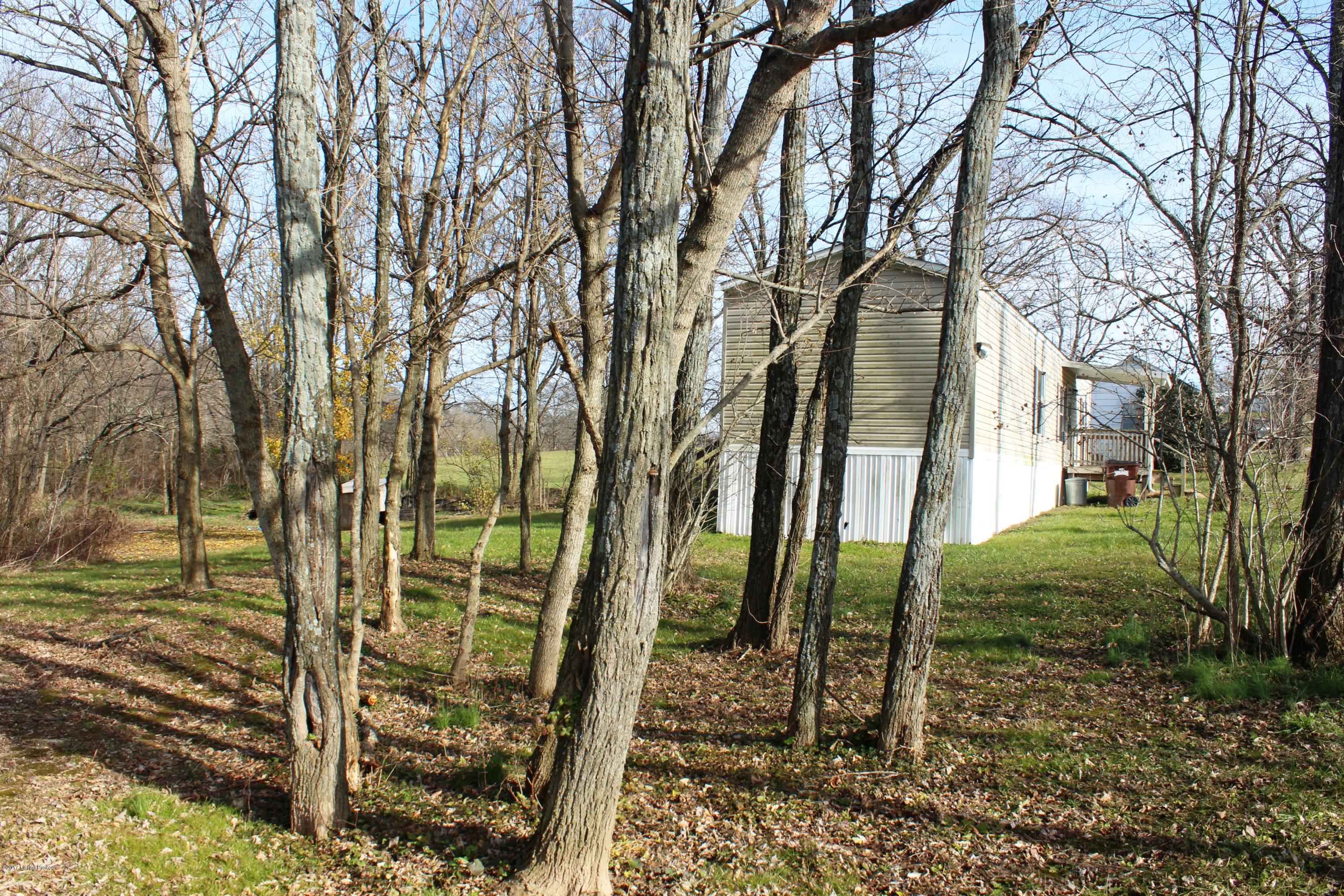 7478 Sulphur Road Sulphur, KY 40070 - Photo 7 of 9 015