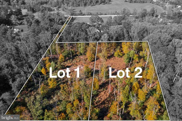 view of a wooden floor