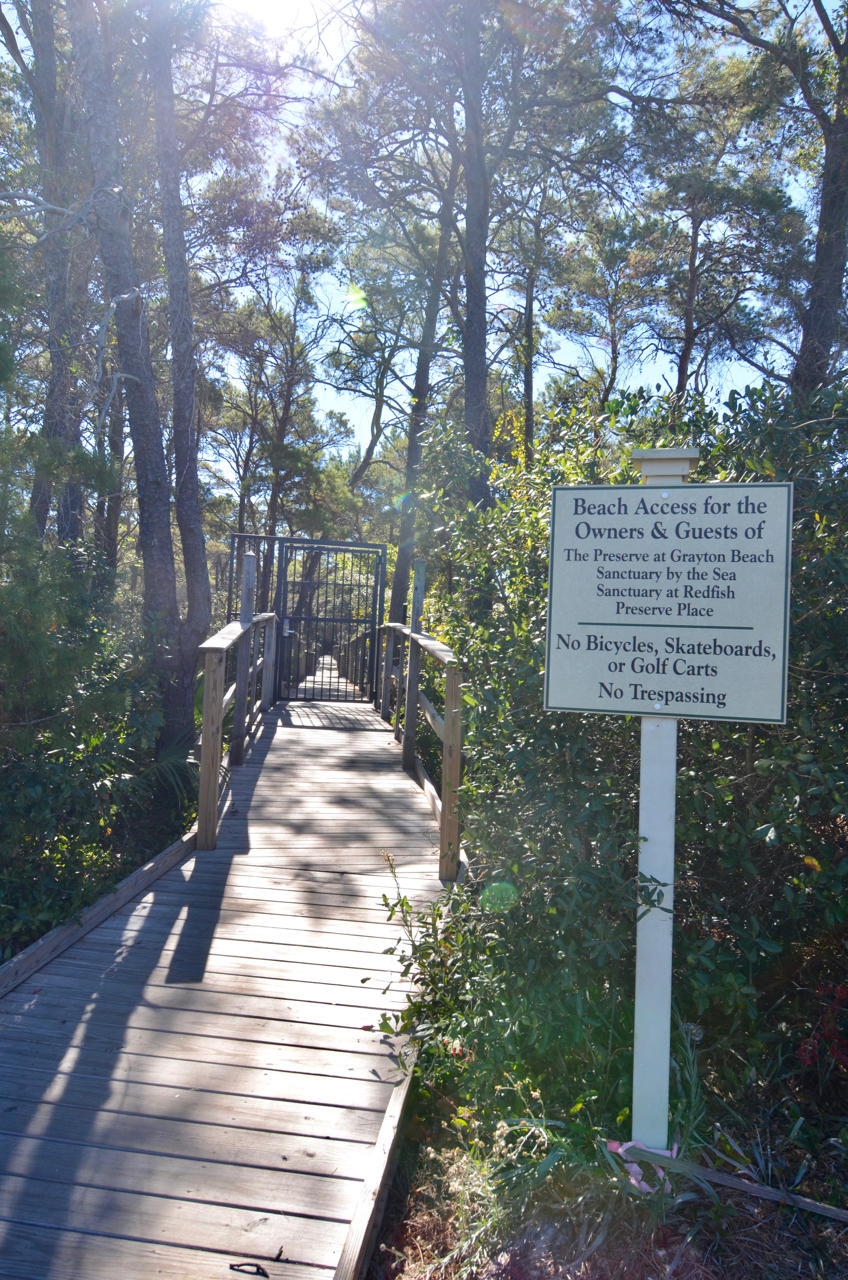 Lot #96 Morgans Trail Santa Rosa Beach, FL 32459 - Photo 8 of 15 DSC_2594