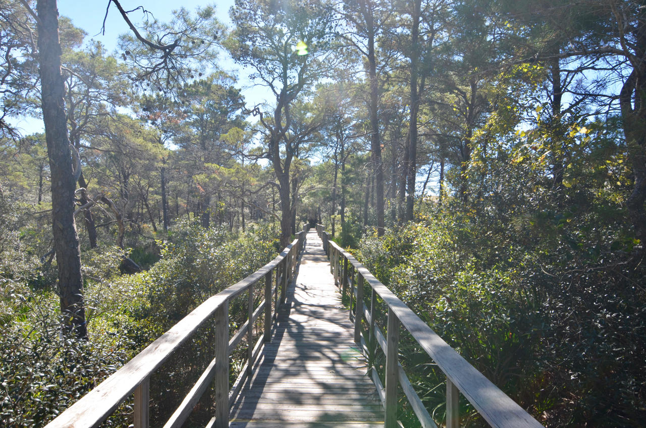 Lot #96 Morgans Trail Santa Rosa Beach, FL 32459 - Photo 9 of 15 DSC_2595