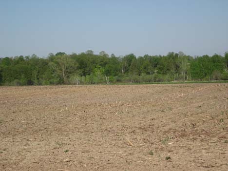 22.08-acre Glacier Road Plymouth, WI 53073 - Photo 1 of 1 22.08 acre on Glacier Rd