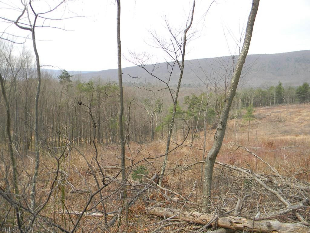 651 Douglas Road Hopewell, PA 16650 - Photo 2 of 18 Gallery Image 2